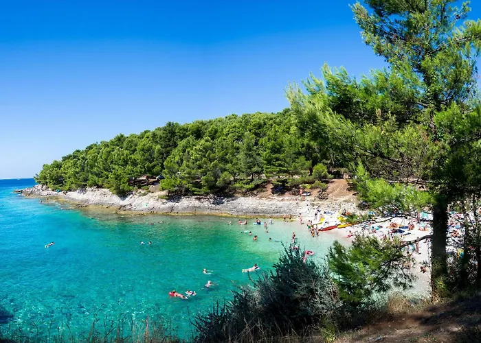 2b Castegner With Garden & Free Parking Daire *