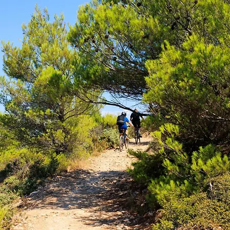 2b Castegner With Garden & Free Parking דירה *